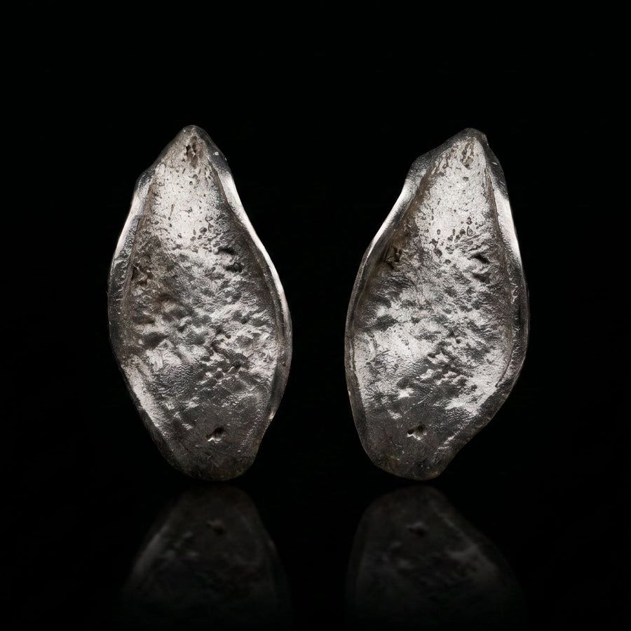 Silver Echo Earrings