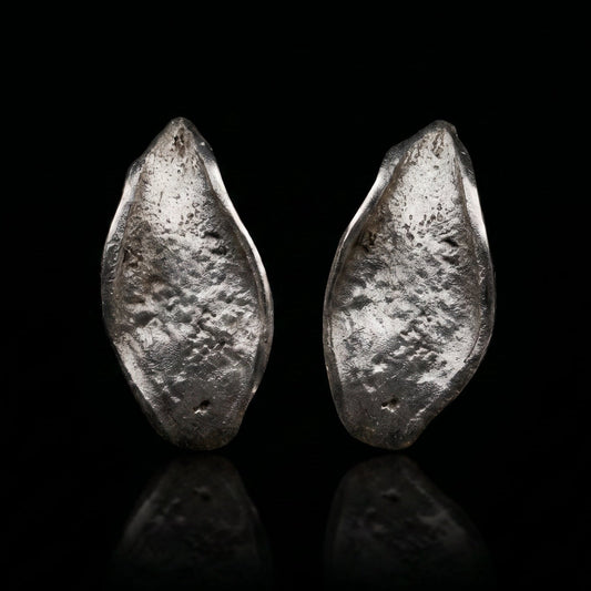Silver Echo Earrings