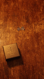 Silver Salina Earrings product video