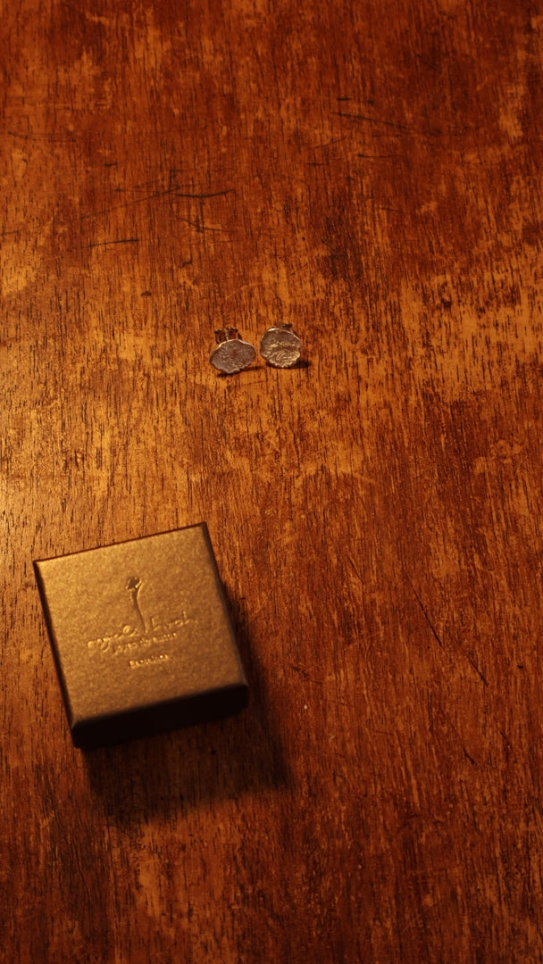 Silver Salina Earrings product video