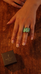 Terra Viva Ring product video