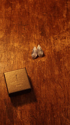 Silver Echo Earrings product video