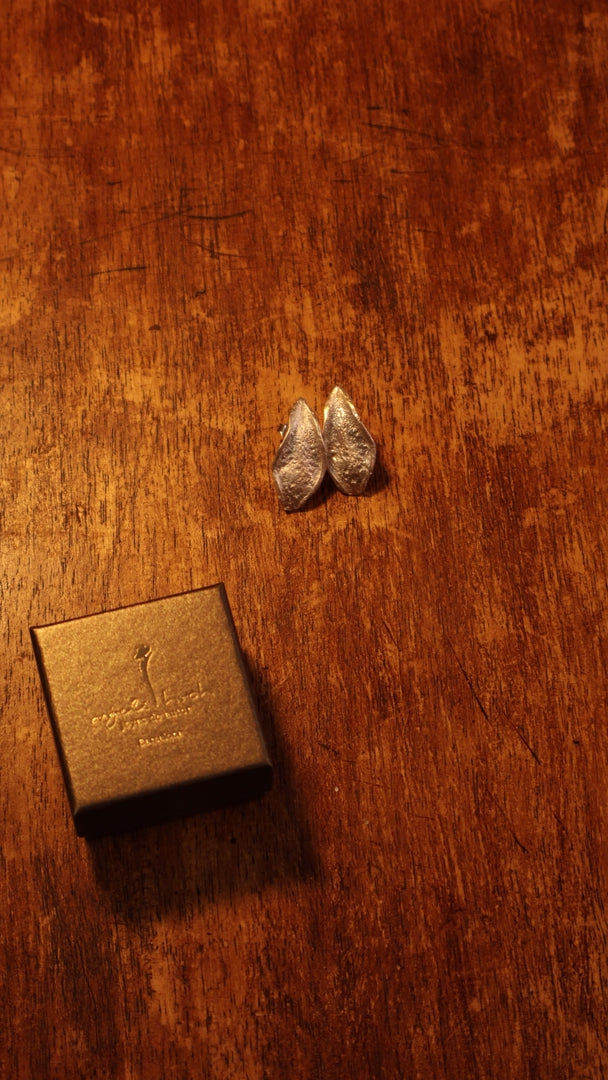 Silver Echo Earrings product video