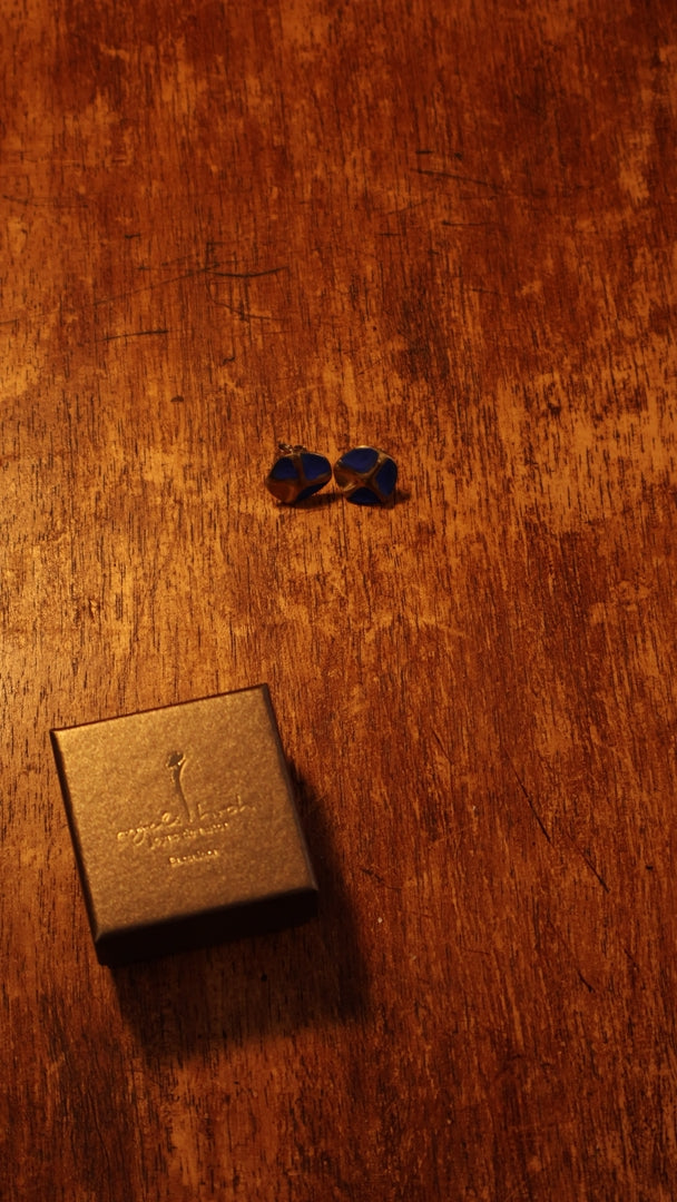 Picasso Concept Earrings product video